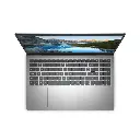 Lizard Tech Panama (13).webp