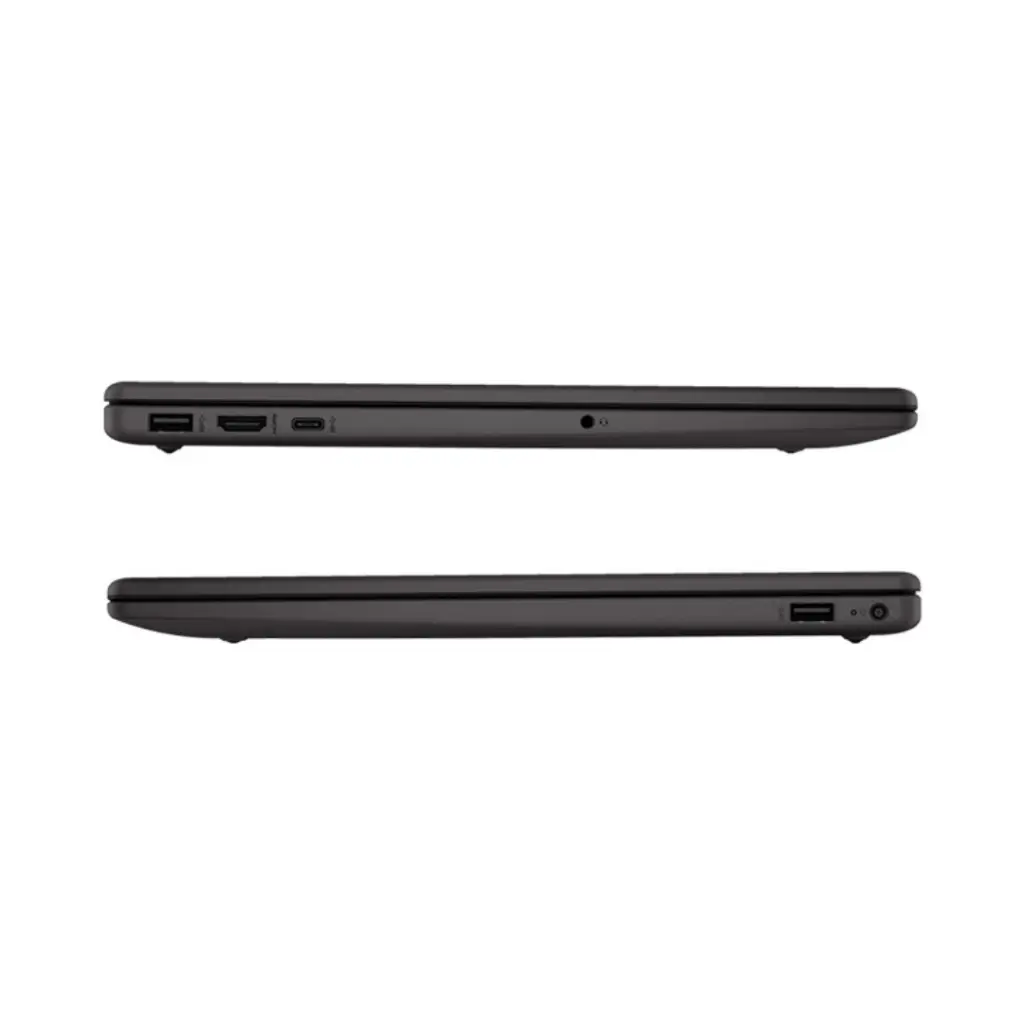 Lizard Tech Panama (19).webp