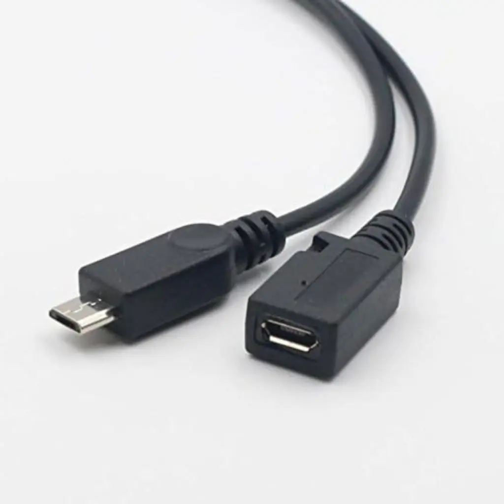 Lizard Tech Panama (29).webp