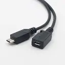 Lizard Tech Panama (29).webp