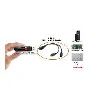 Lizard Tech Panama (27).webp