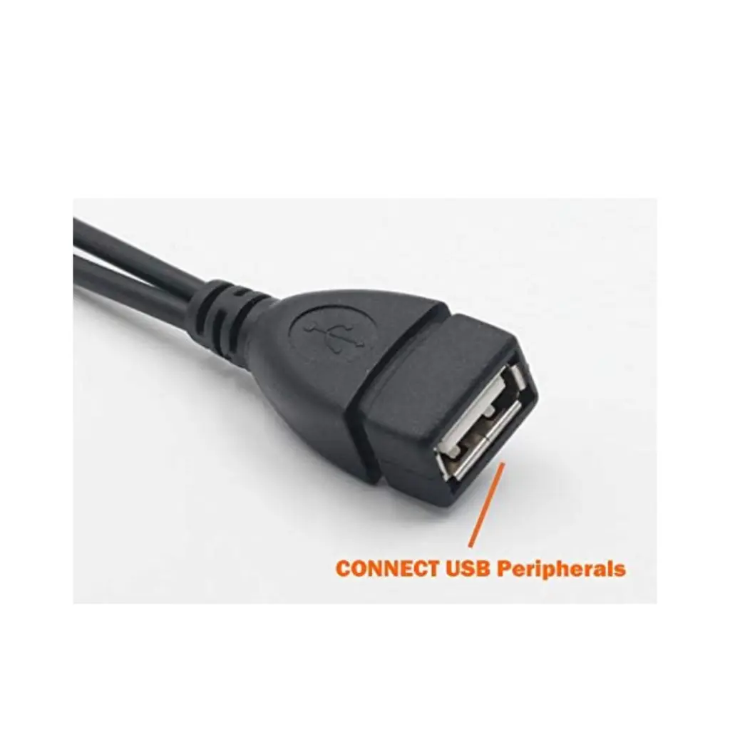 Lizard Tech Panama (30).webp