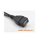 Lizard Tech Panama (30).webp