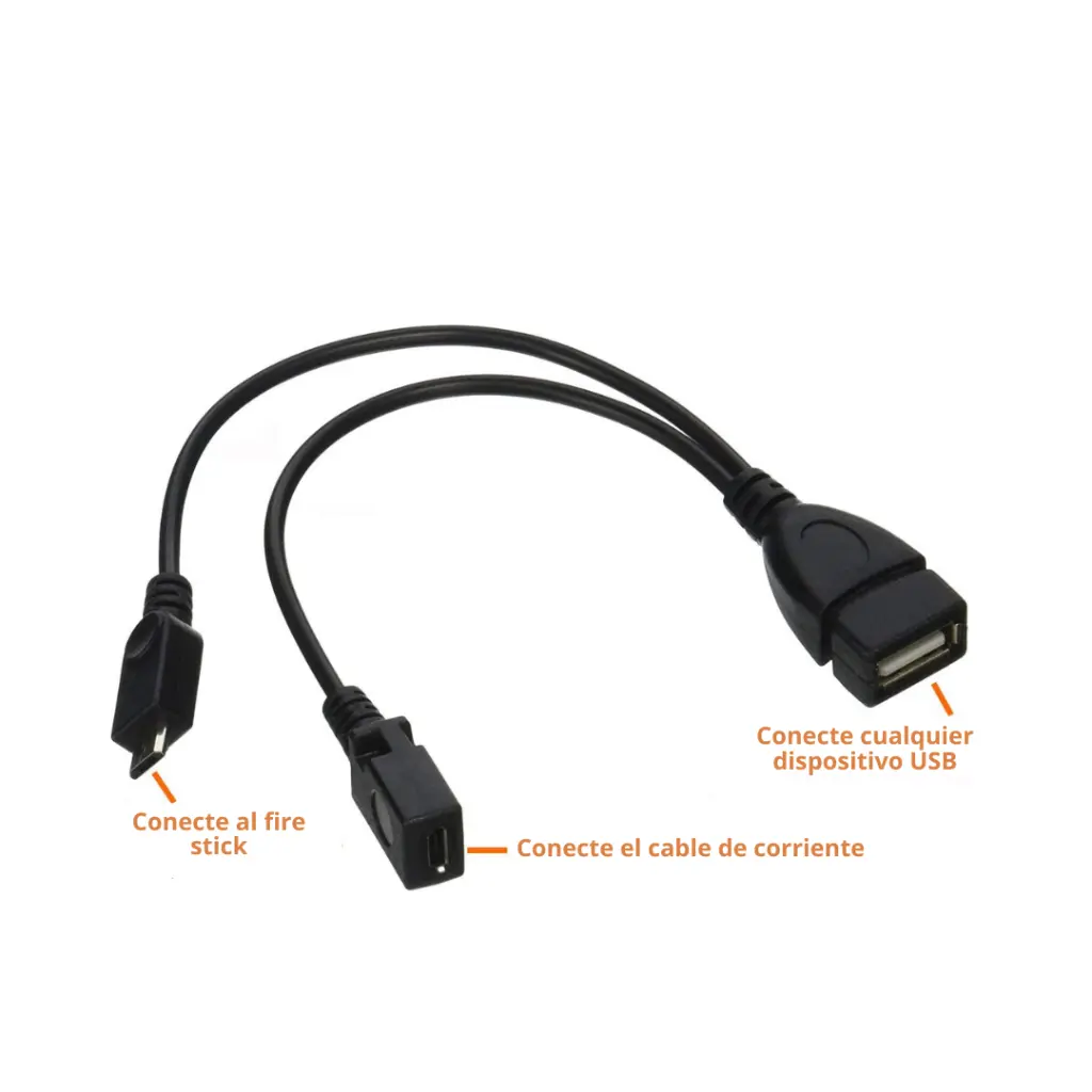 Lizard Tech Panama (31).webp