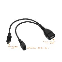 Lizard Tech Panama (31).webp