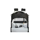 Lizard Tech Panama (40).webp