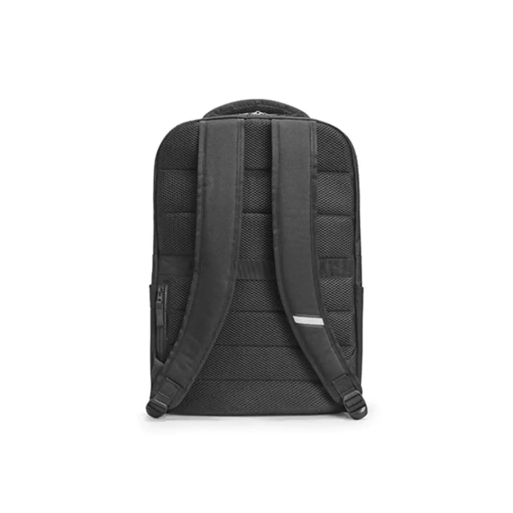 Lizard Tech Panama (41).webp