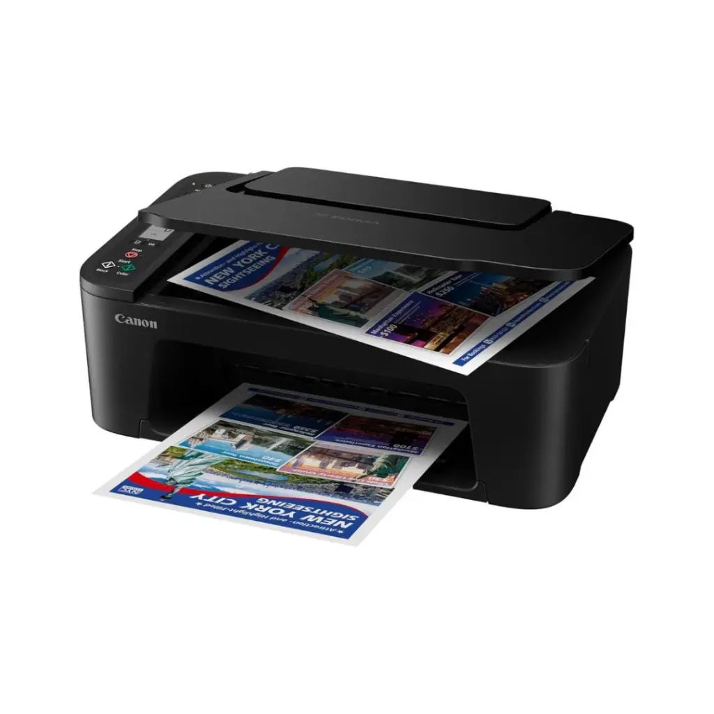 Lizard Tech Panama (66).webp