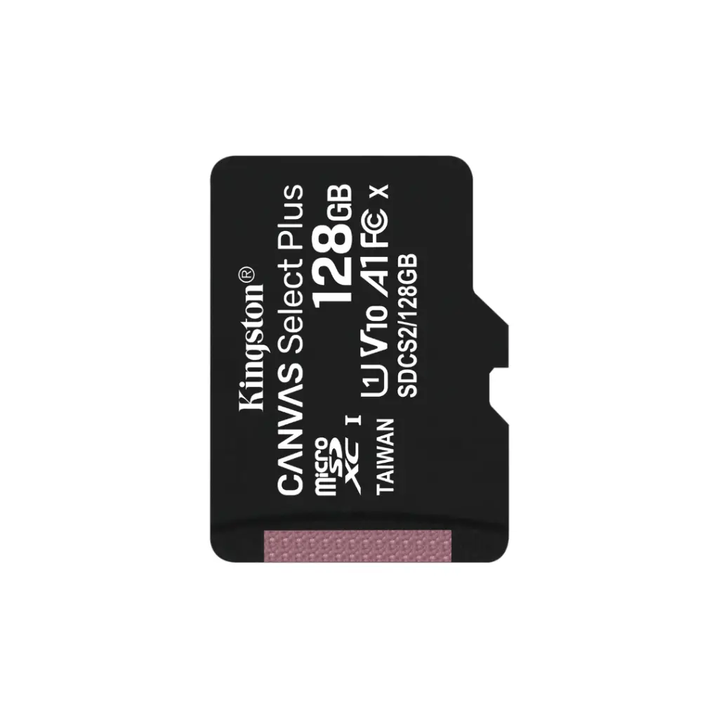Lizard Tech Panama (90).webp