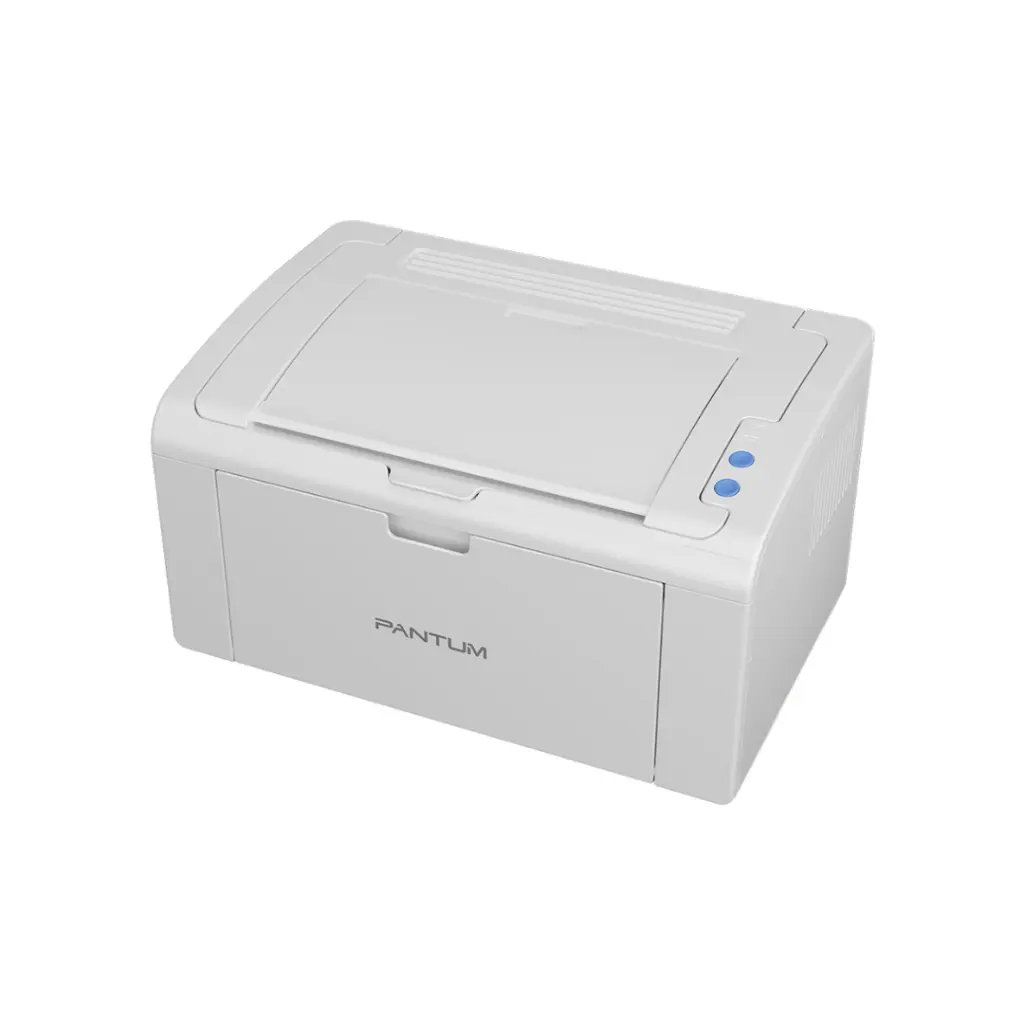 Lizard Tech Panama (99).webp