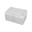 Lizard Tech Panama (99).webp