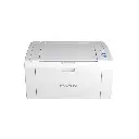 Lizard Tech Panama (96).webp