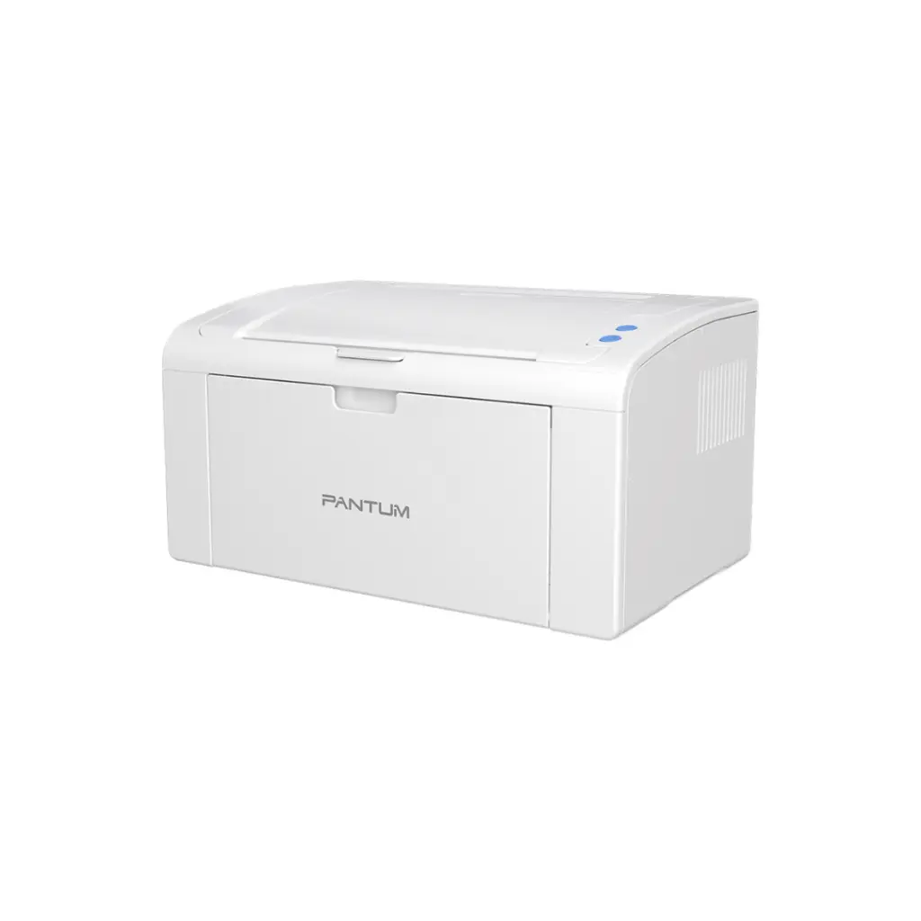 Lizard Tech Panama (97).webp