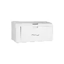 Lizard Tech Panama (98).webp