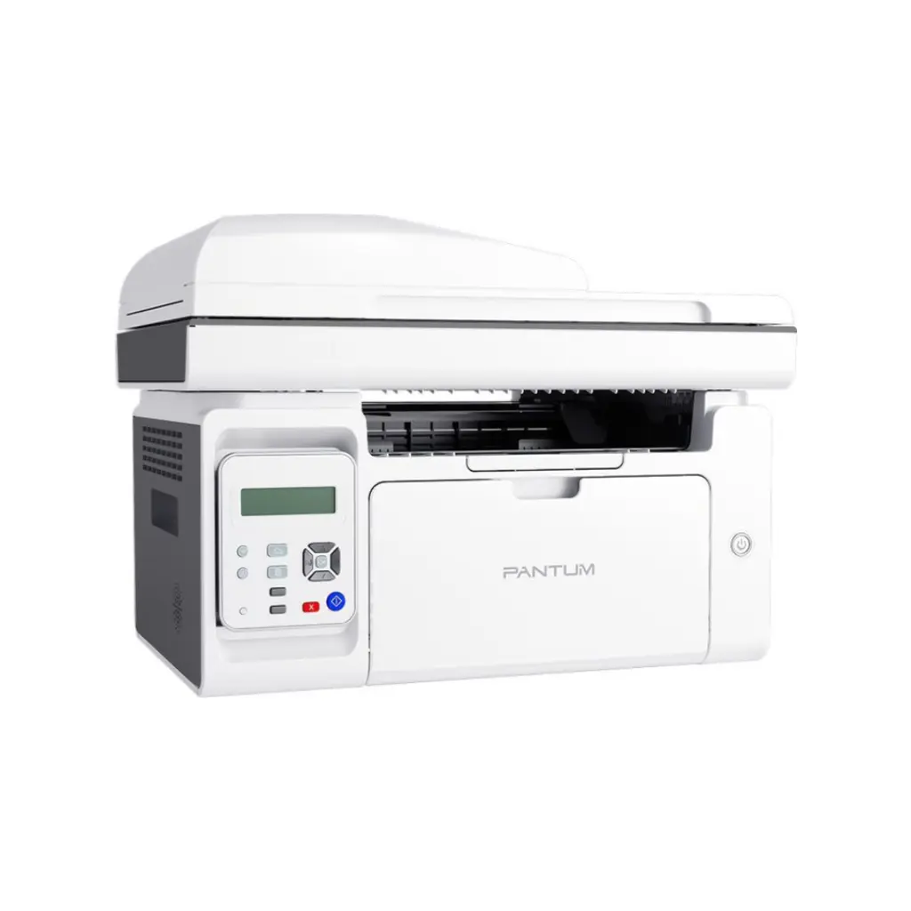 Lizard Tech Panama - 2025-06-08T232415.077.webp